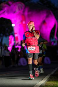 BIB: 
                            <button type="button" onclick="openModal(26529977)" class="btn btn-primary btn-sm float-right btn-popup" data-toggle="modal" data-target=".modal-high-quality">
                        <i class="fas fa-shopping-cart"></i> Add to Cart
                    </button>
                                            <button type="button" onclick="isThisMe(26529977, true)" class="btn btn-success btn-sm float-right btn-popup btn-isme hidden" data-toggle="tooltip" data-placement="bottom" title="นี่คือรูปของคุณใช่ไหม คลิกที่นี่เพื่อเอาเข้าอัลบั้ม">
                        <i class="fas fa-plus"></i> Add to album
                    </button>
                    <button type="button" onclick="isThisMe(26529977, false)" class="btn btn-warning btn-sm float-right btn-popup btn-isnotme hidden">
                        <i class="fas fa-ban"></i> Remove from album
                    </button>